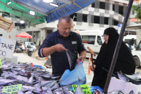 Rize'de Karadeniz palamudu tezgahlarda 50 liradan başlayan fiyatlarla satışa sunuldu