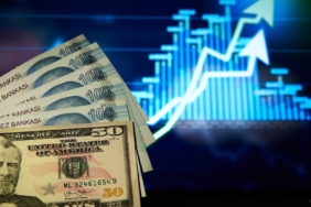 Dolar/TL haftanın ilk gününde 49,1630 seviyesine ulaşarak tarihi zirvesini yeniledi
