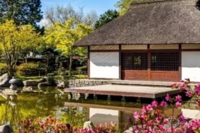 Japonya'da 1 Dolara Satışa Çıkarılan Sahipsiz Konutlar Ağır Masraflar Nedeniyle İlgi Görmüyor